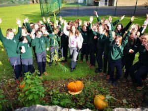 Harvesting Pumpkins